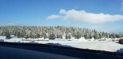 Colfax County - Photo 2