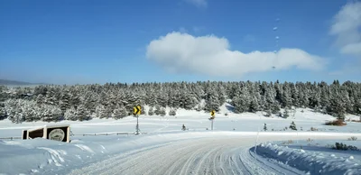Colfax County - Photo 3
