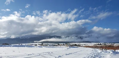 Colfax County - Photo 4
