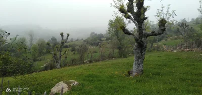 Aït Saleh - Photo 5