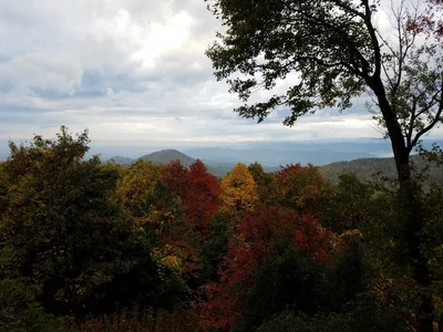 Alleghany County - Photo 4