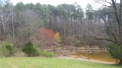 Wilkes County - Photo 2