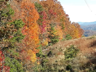 Morgan County - Photo 2