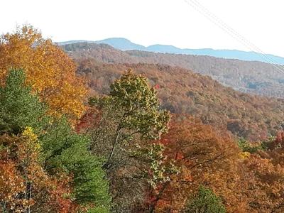 Morgan County - Photo 3
