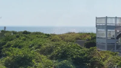 Corolla - Photo 2