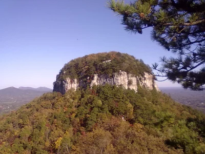 Surry County - Photo 5