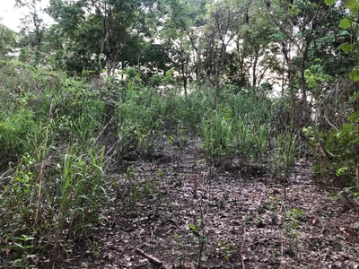 Kaeng Khoi - Photo 2