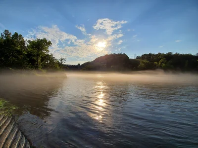 Norfork - Photo 2