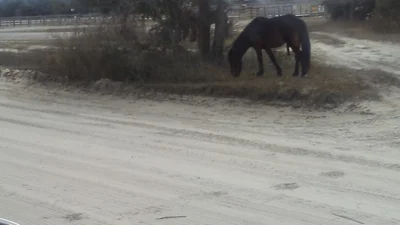 Currituck County - Photo 5