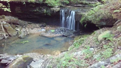 Newton County - Photo 3