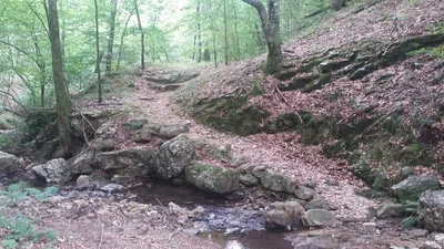 Newton County - Photo 4