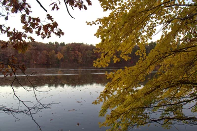 Jamestown - Photo 4