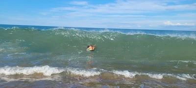 Nags Head - Photo 4