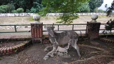 Wanluan - Photo 2