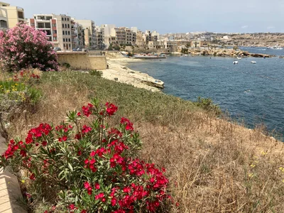 San Pawl il-Baħar - Photo 2