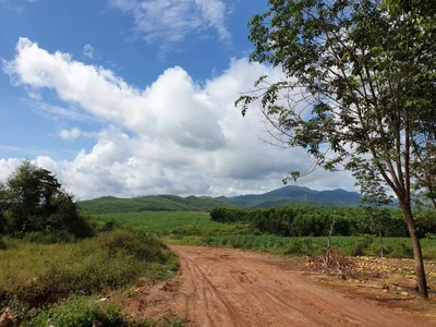 Nông trường Việt Trung - Photo 2