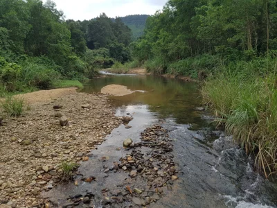 Nông trường Việt Trung - Photo 3