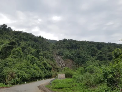 Nông trường Việt Trung - Photo 4