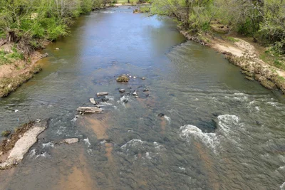 Alamance County - Photo 4