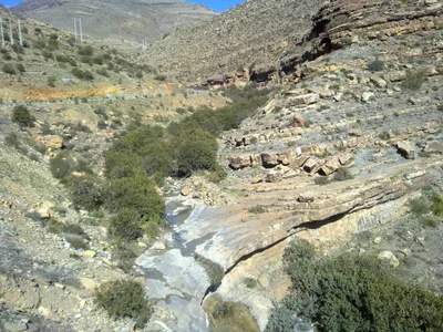 Maadid ⵎⴰⵄⴷⵉⴷ المعاضيد - Photo 3