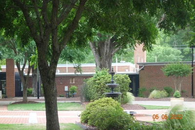 Zebulon - Photo 2