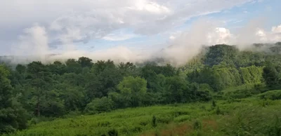 Blount County - Photo 2