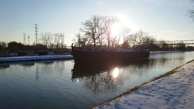 Mol - Photo 2