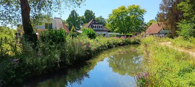 Mol - Photo 4