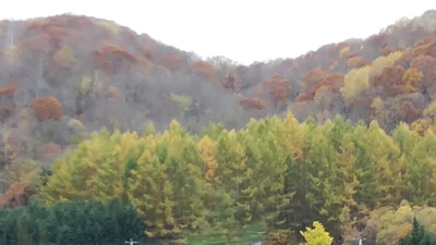 Aibetsu - Photo 3