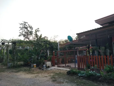 Nong Saeng - Photo 2