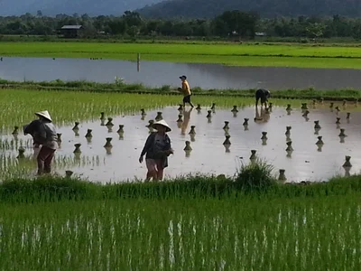Champasak Town - Photo 3