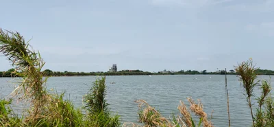 Xinfeng Township - Photo 4