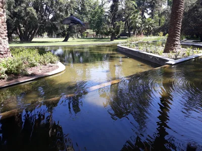 Pirque - Photo 3
