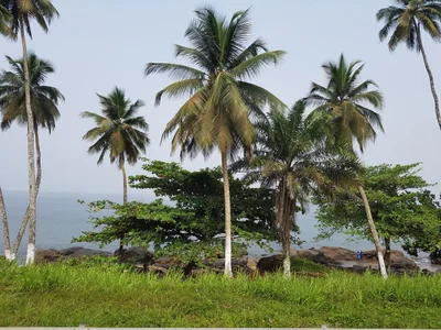 Kribi - Photo 2