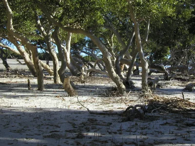 Anakao - Photo 3