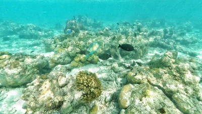 North Male Atoll - Photo 2