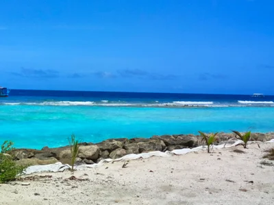 North Ari Atoll - Photo 4