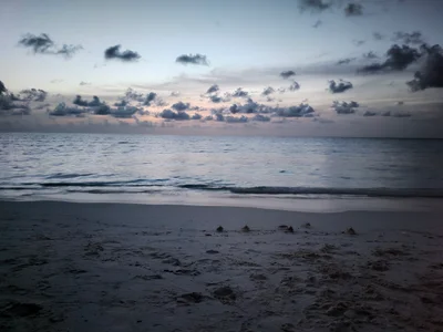 North Ari Atoll - Photo 5
