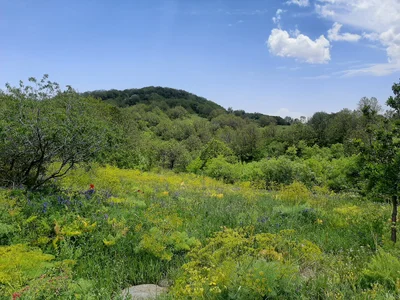 Byurakan - Photo 5
