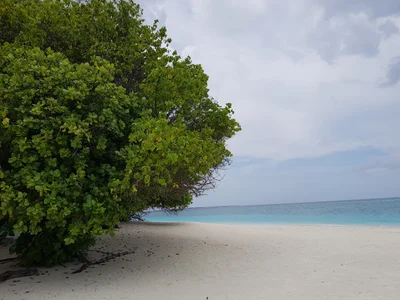 Utheemu - Photo 2