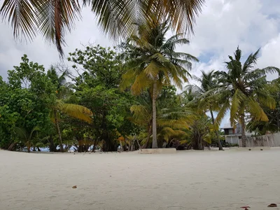 Utheemu - Photo 3