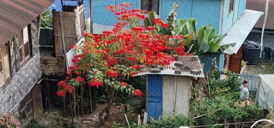 Mokokchung - Photo 3