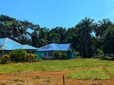 Banana Islands - Photo 2