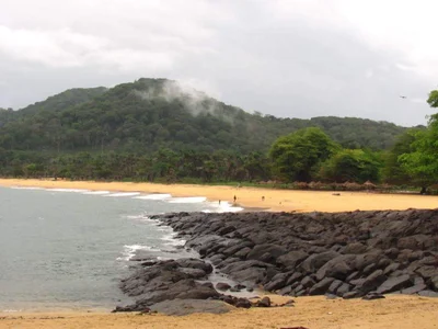 Banana Islands - Photo 5