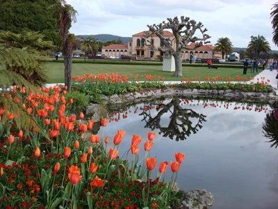 Rotorua - Photo 4