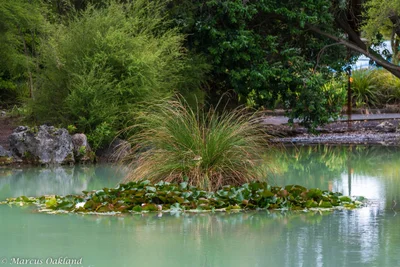 Rotorua - Photo 5
