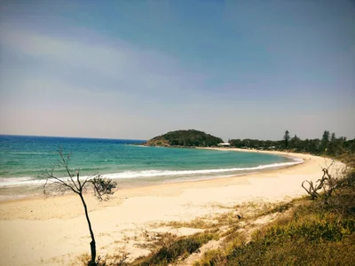 Scotts Head - Photo 2
