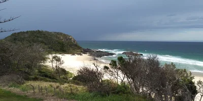 Scotts Head - Photo 4