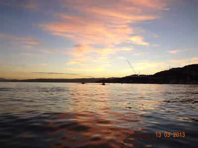 Greater Wellington - Photo 4