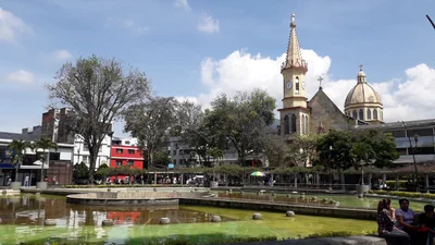 Pereira - Photo 5